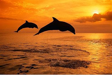 《合金装备3：重制版》是对原版作品的重温还是替代？