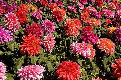  《极限竞速2023》正处于打磨阶段 今年晚些时候发布